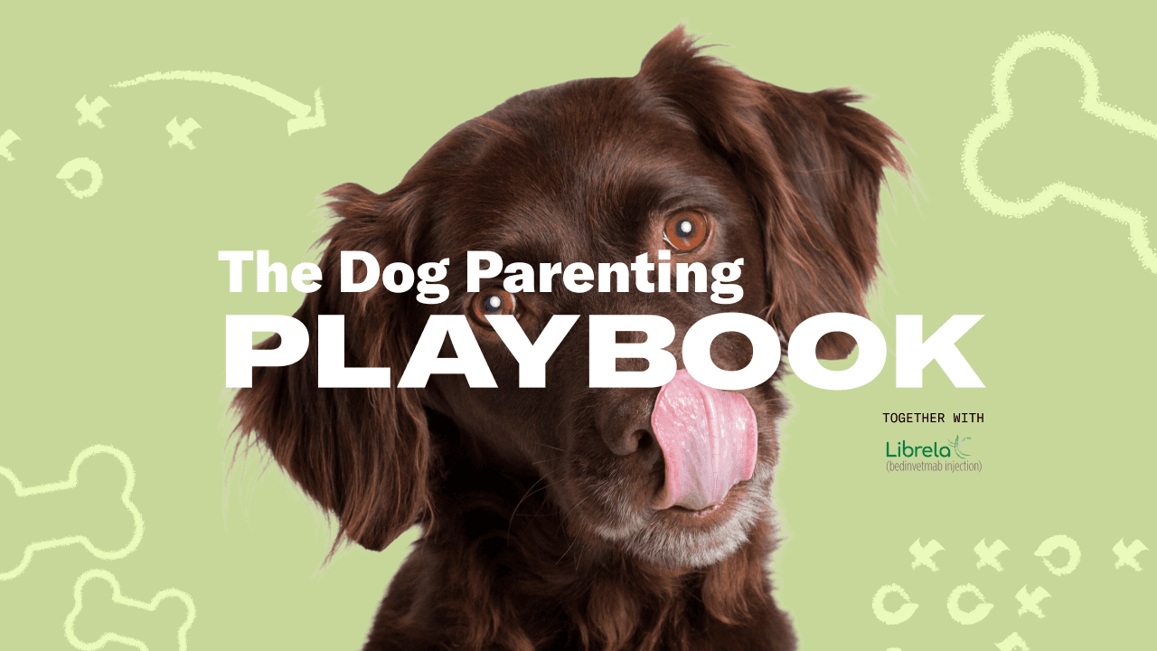 The Dog Parenting Playbook
