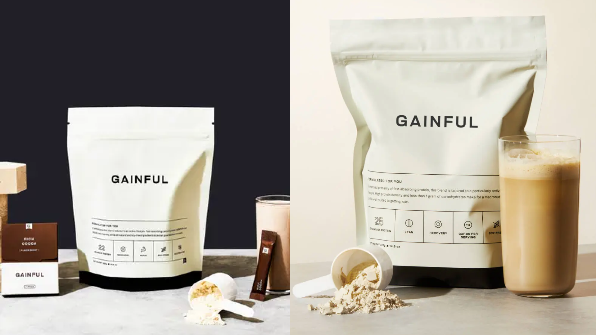 gainful protein powder