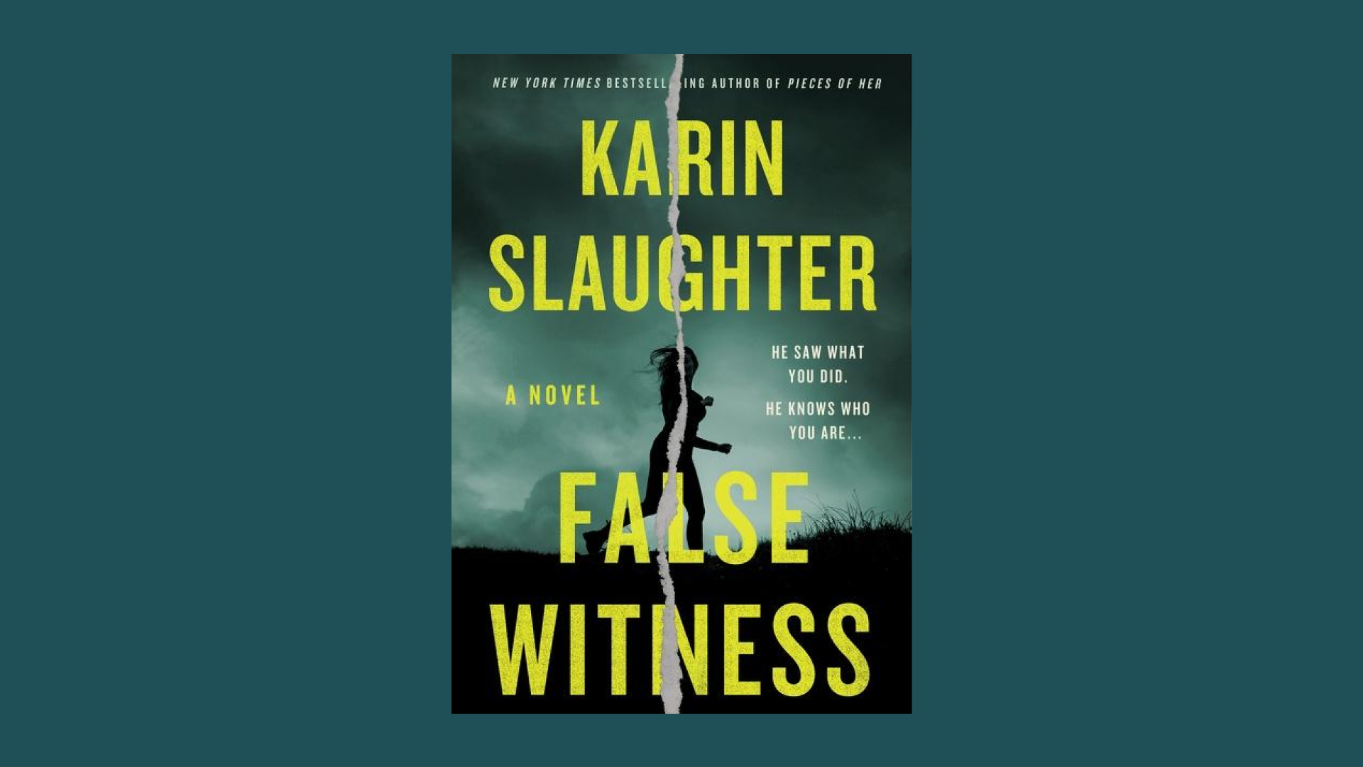 Best Suspense Books theSkimm