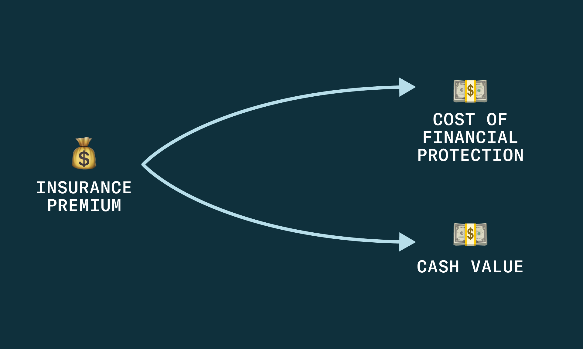 graphic connecting insurance premiums to cost of financial protection and cash value