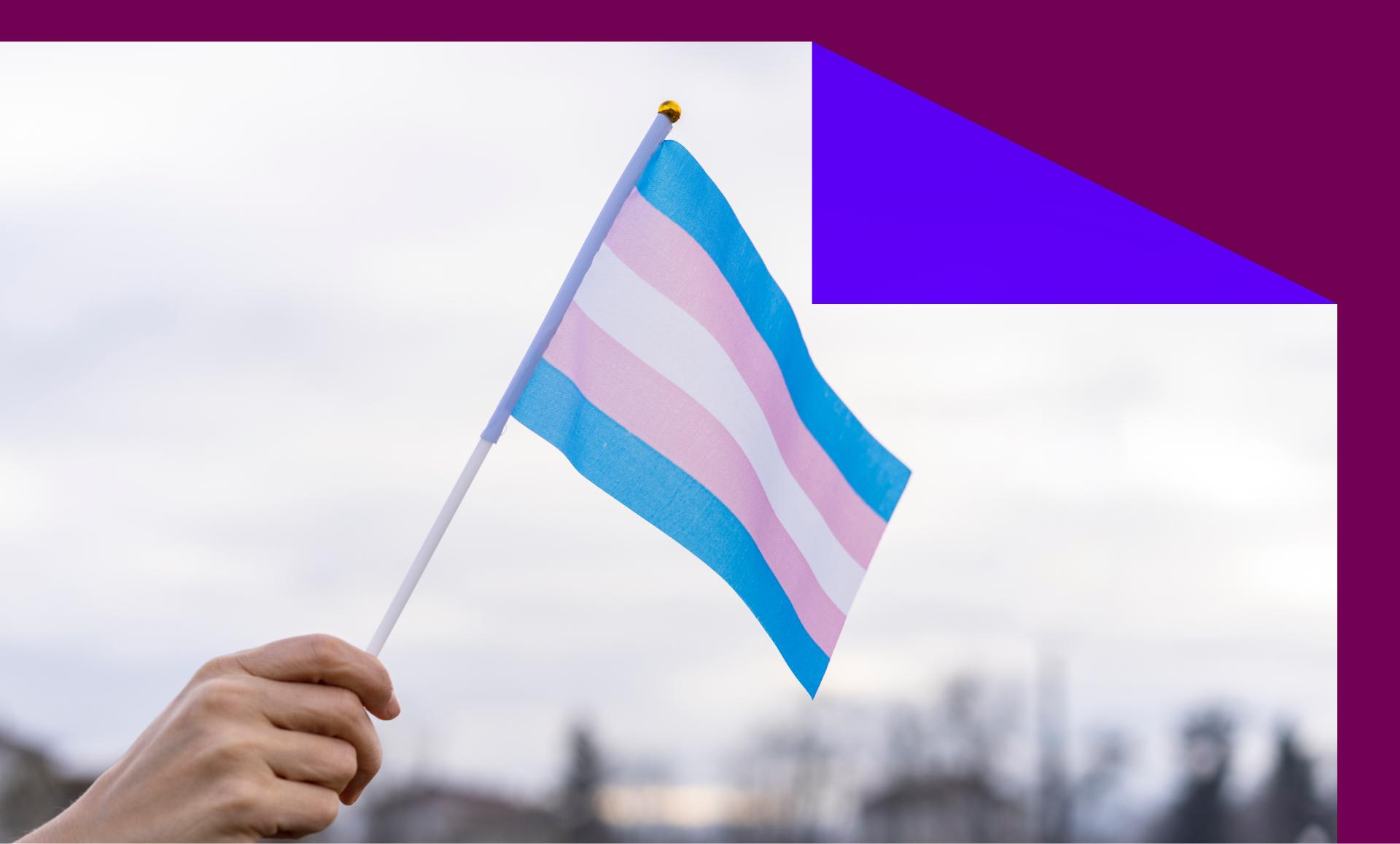 Transgender Flag