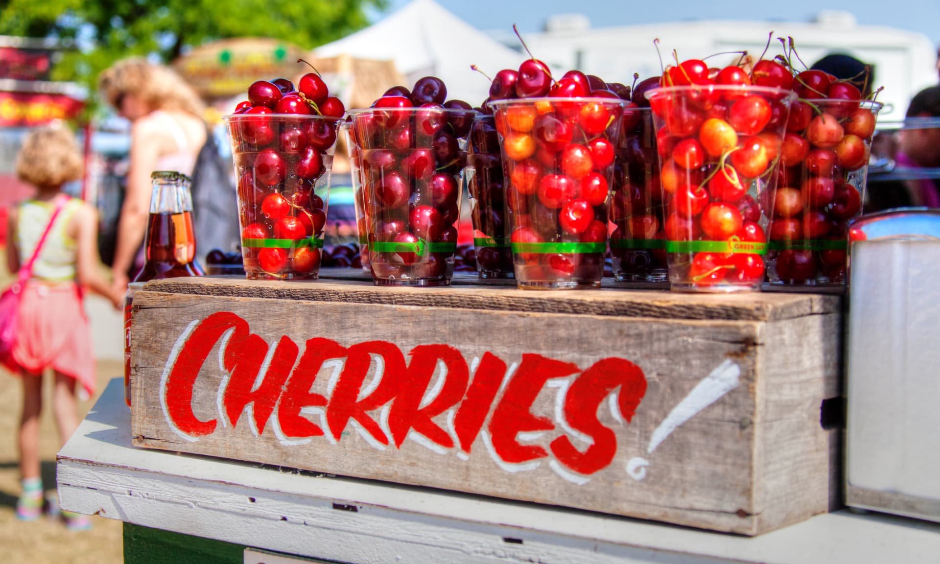 Cherries in Traverse City, Michigan