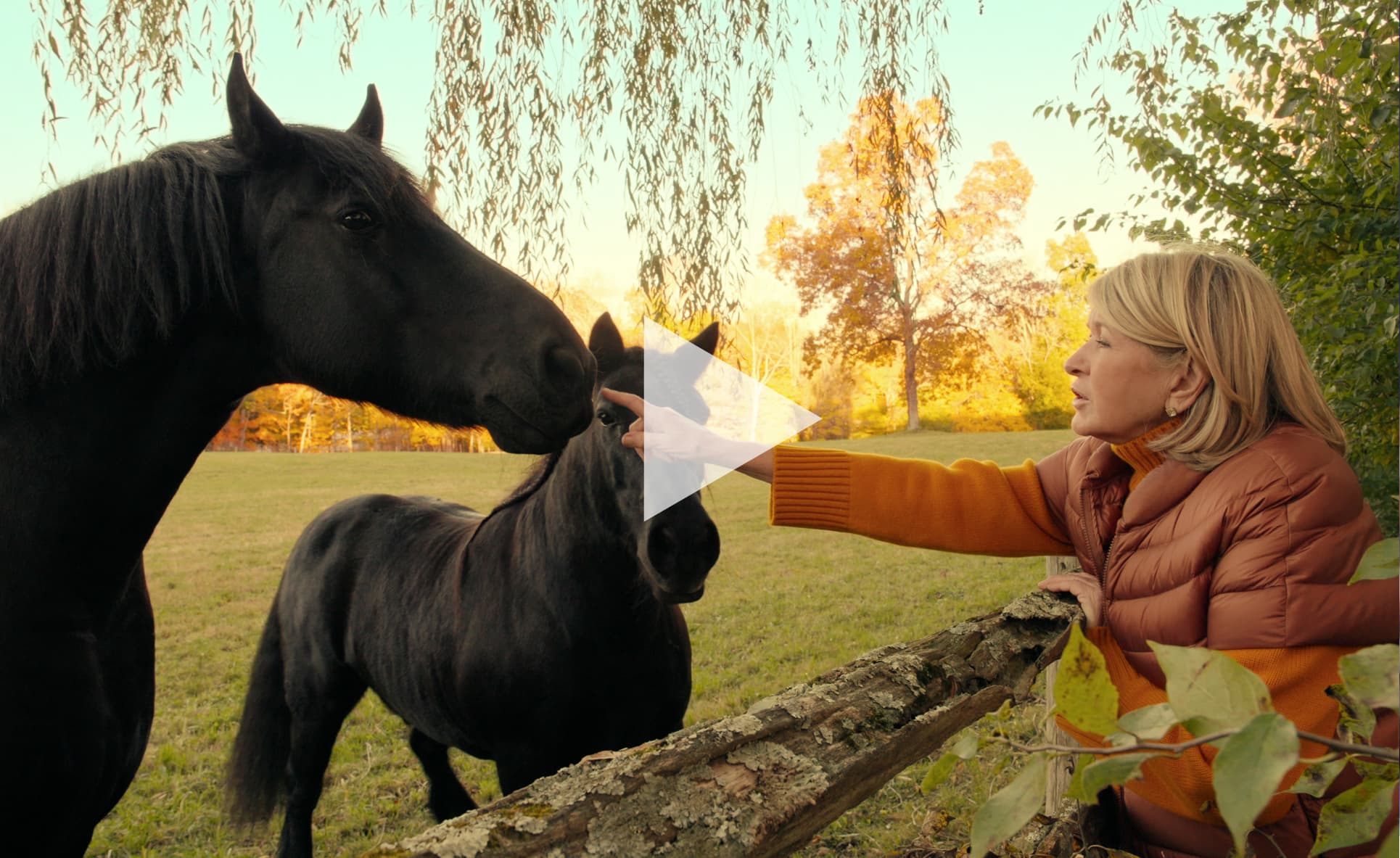 Martha Stewart petting her horses