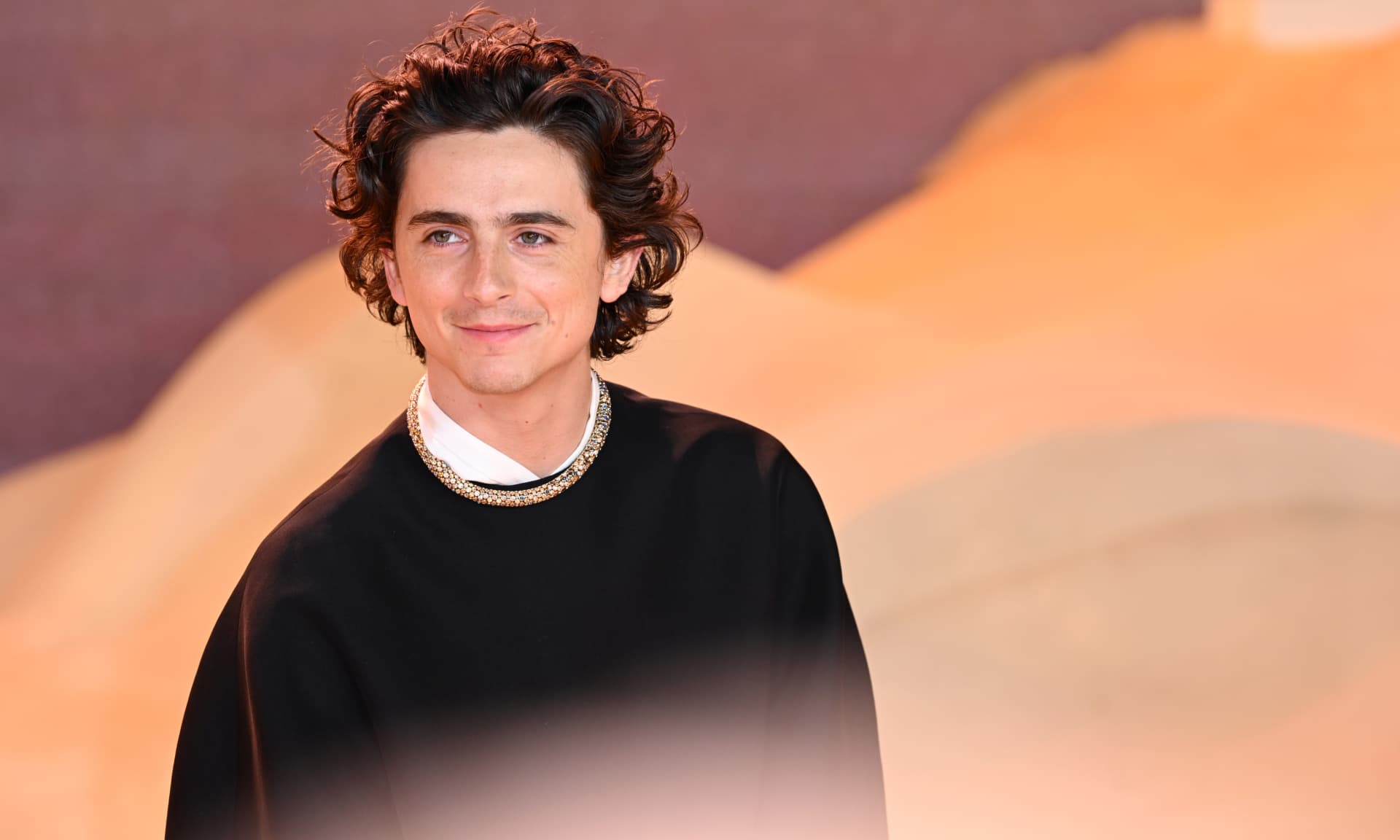 Timothée Chalamet 