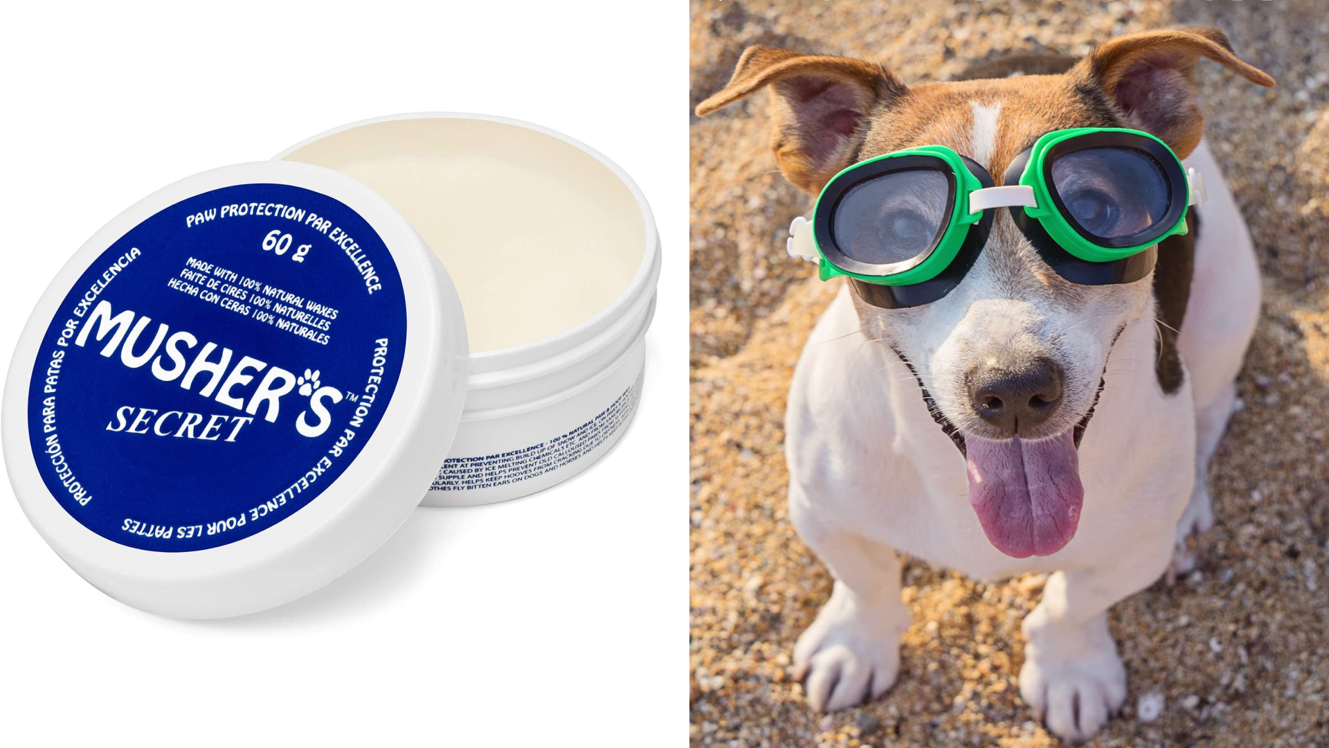 10 Products to Keep Your Dog Cool and Comfy in the Heat