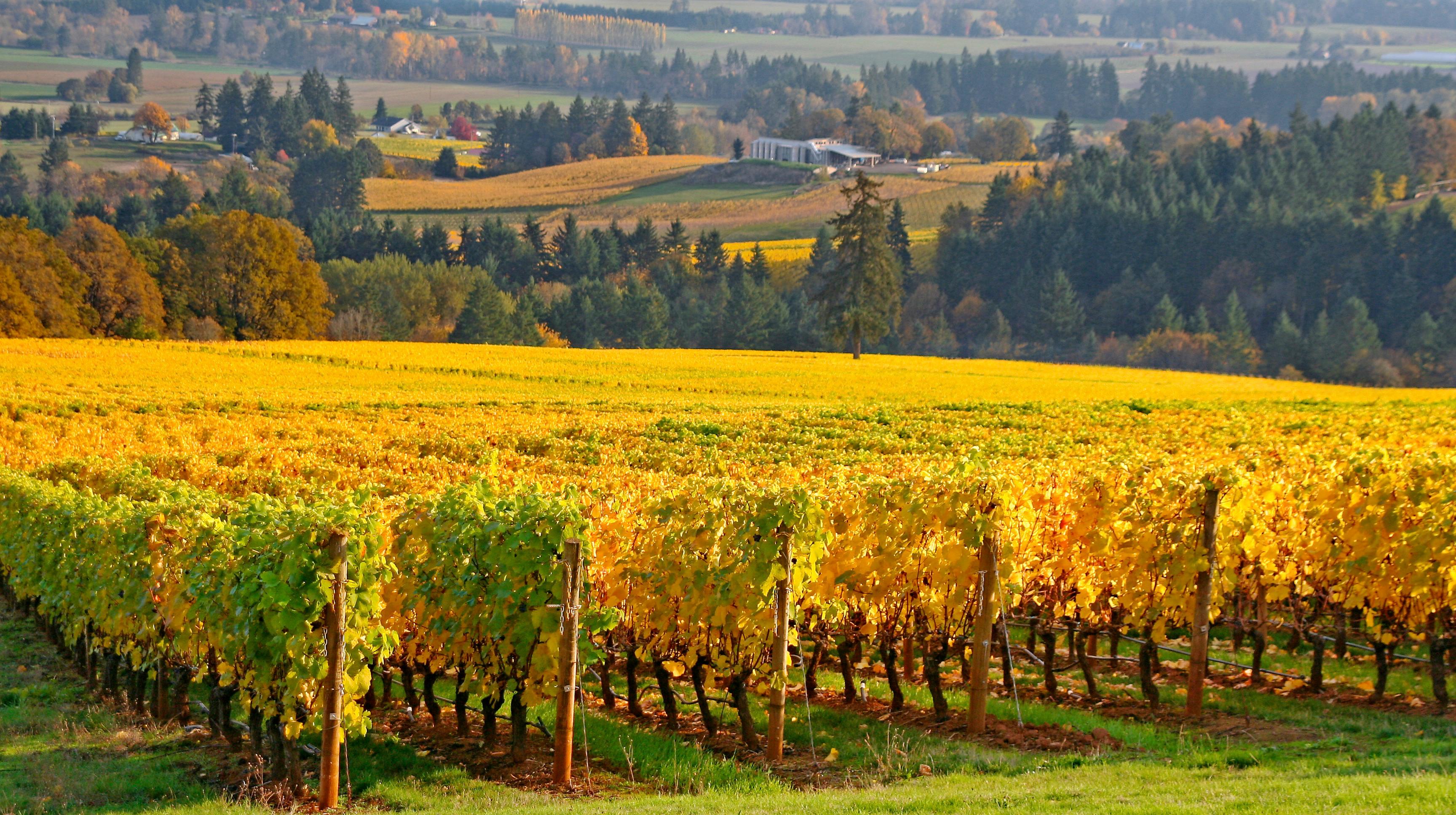 Willamette Valley, Oregon