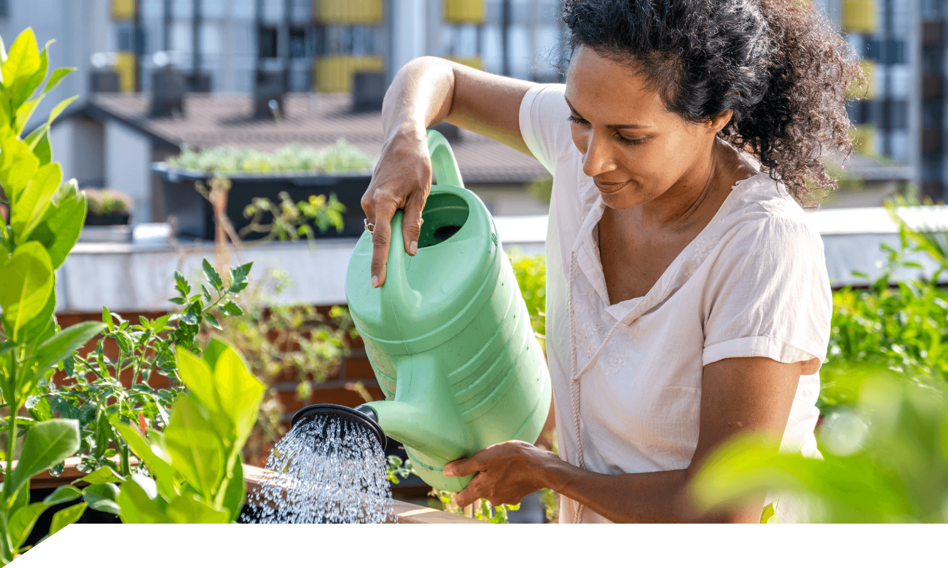 woman watering rooftop garden
