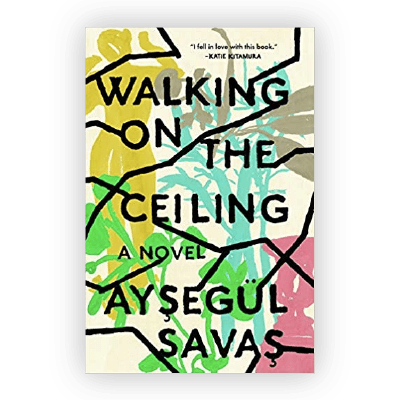 Walking on the Ceiling